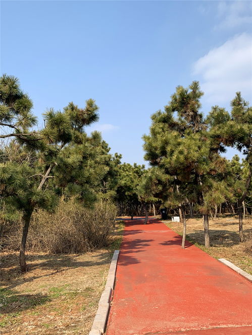 海邊游玩注意事項(xiàng),故宮游玩注意事項(xiàng),西藏游玩注意事項(xiàng)