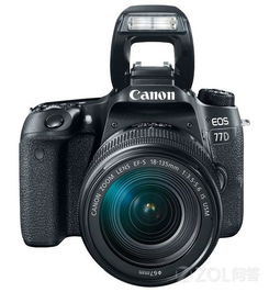 佳能,注意事項,單反相機,購買