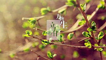 2015立春注意事項