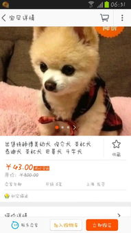 網(wǎng)上買(mǎi)狗的注意事項(xiàng),空運(yùn)流程以及注意事項(xiàng),骨灰空運(yùn)注意事項(xiàng)