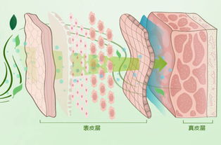 無針水光的注意事項