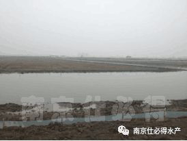 新開的螃蟹塘注意事項(xiàng)