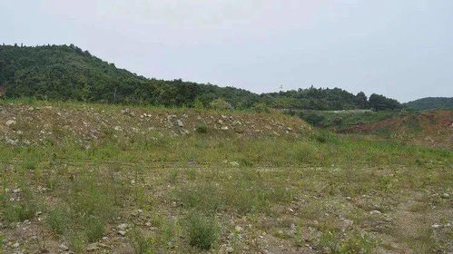 農(nóng)村荒地轉(zhuǎn)讓注意事項(xiàng)