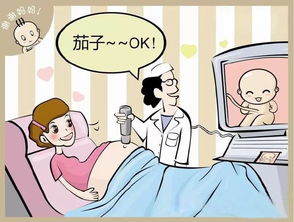 腎動脈彩超注意事項