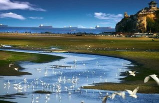 秦皇島旅游注意事項(xiàng)