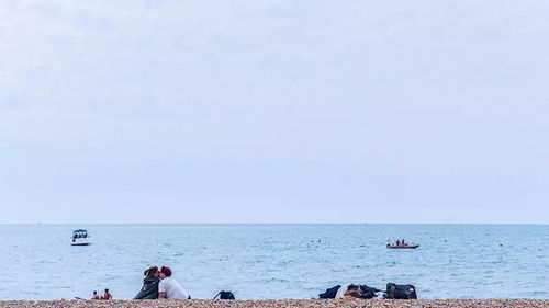 新生兒曬太陽注意事項,巴西龜曬太陽注意事項,蘭花曬太陽的注意事項