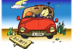 高溫,注意事項(xiàng),開(kāi)車(chē),天氣