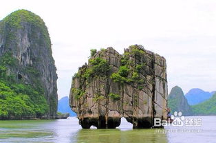 2015越南旅游注意事項