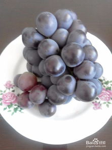 注意事項,過濾,葡萄