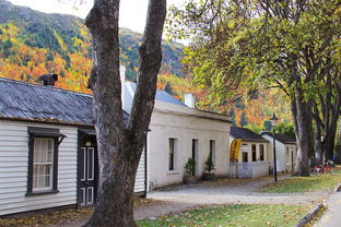 新西蘭,注意事項,留學(xué)