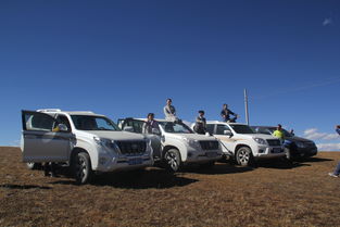 第一次保養(yǎng)車注意事項,第一次上車練車注意事項,新手第一次練車注意事項