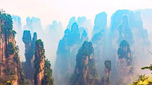 去張家界的注意事項(xiàng),張家界國(guó)家森林公園注意事項(xiàng),張家界玻璃棧道注意事項(xiàng)