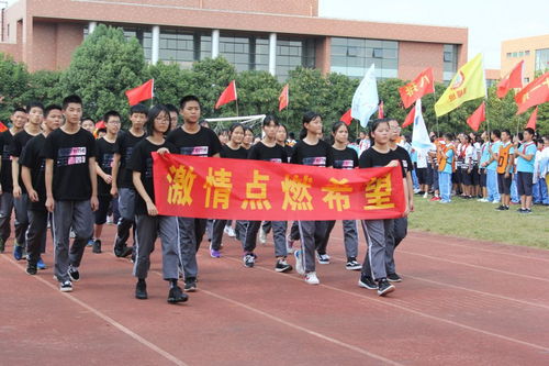 運動會,紀(jì)律,注意事項,初中