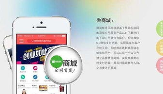 要注意,事項(xiàng),加盟,商城