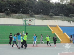 籃球賽,注意事項,活動