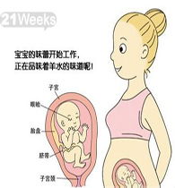 孕婦懷孕21周注意事項(xiàng),懷孕21周同房注意事項(xiàng),懷孕2-3周注意事項(xiàng)