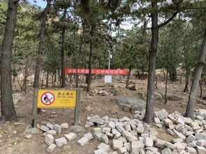 百日墳注意事項