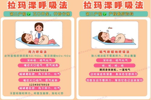 懷孕每階段注意事項