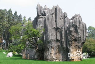 云南,注意事項,旅游