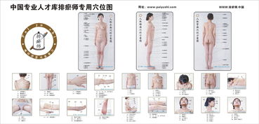 排瘀注意事項(xiàng)和禁忌,身體排濕后的注意事項(xiàng),瀉血排瘀的注意事項(xiàng)