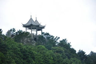 梧桐山登山注意事項(xiàng)