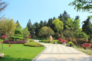 綠化施工安全注意事項,綠化施工注意事項,綠化審計注意事項