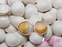 銀杏葉泡茶注意事項