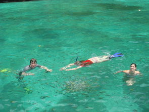 出海的注意事項,普吉島旅游注意事項,出海捕魚注意事項