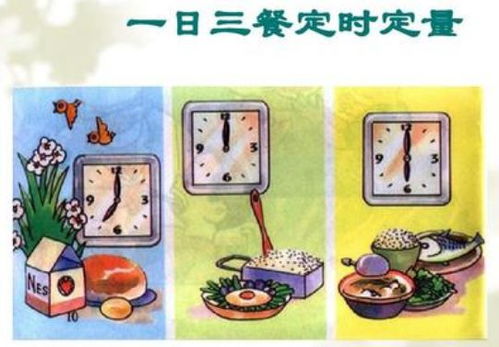 腸功能紊亂應(yīng)注意事項(xiàng)