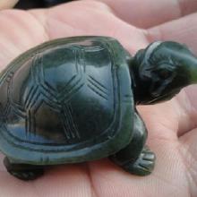 手把件龜注意事項