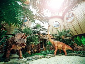 恐龍園游玩注意事項,常州恐龍園攻略,常州恐龍園有哪些項目