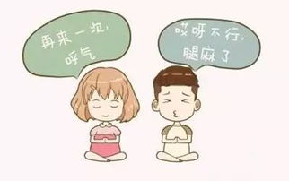 狗狗分娩注意事項,分娩的技巧和注意事項,母豬分娩注意事項