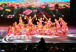 演出表演注意事項(xiàng)