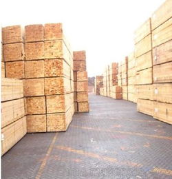 裝載,木材,注意事項