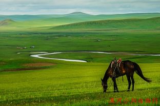 去草原的注意事項(xiàng),去熱帶草原旅游的注意事項(xiàng),草原旅游注意事項(xiàng)