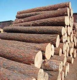 國(guó)外進(jìn)口木材需要注意事項(xiàng)