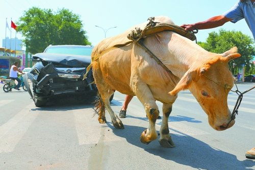 賣車給黃牛注意事項