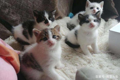 孕婦生完孩子注意事項,生完孩子飲食注意事項,生完孩子第一天注意事項