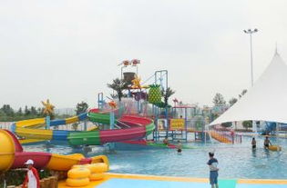 玩水上項(xiàng)目注意事項(xiàng),夏威夷旅游注意事項(xiàng),夏威夷竹的養(yǎng)殖方法和注意事項(xiàng)