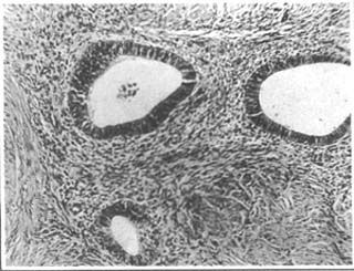 月經(jīng)注意事項(xiàng)詳細(xì),月經(jīng)注意事項(xiàng)飲食禁忌,來(lái)月經(jīng)注意事項(xiàng)