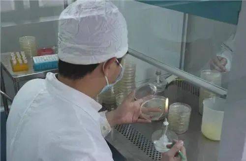 培養(yǎng)基的制備注意事項,培養(yǎng)基制作過程中的注意事項,培養(yǎng)基的配制與滅菌注意事項