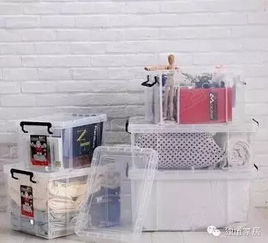 養(yǎng)魚(yú),收納,注意事項(xiàng)