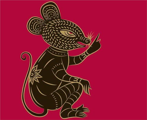 建房,注意事項(xiàng)