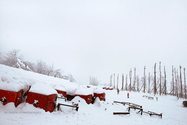 西嶺山自駕游注意事項(xiàng)