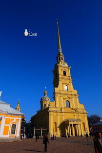 日本,注意事項,跟團,購物