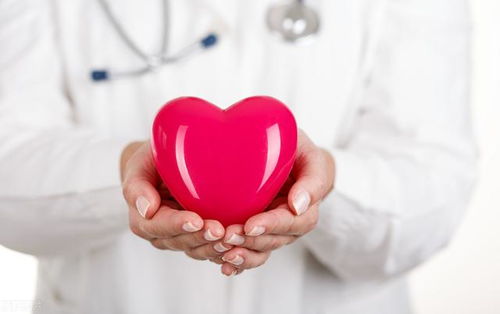 狹窄,血管,注意事項,心臟