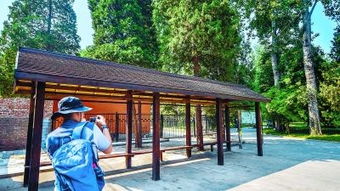 東單,注意事項(xiàng),公園