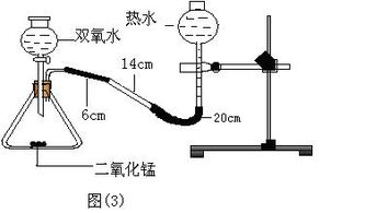 使用實(shí)驗(yàn)法的注意事項(xiàng),心理學(xué)實(shí)驗(yàn)法的注意事項(xiàng),運(yùn)用實(shí)驗(yàn)法研究幼兒心理的注意事項(xiàng)