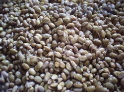 黃豆醬制曲注意事項(xiàng),做豆腐泡黃豆注意事項(xiàng),黃豆做底肥注意事項(xiàng)