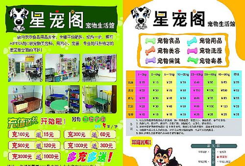 開(kāi)寵物店注意事項(xiàng)